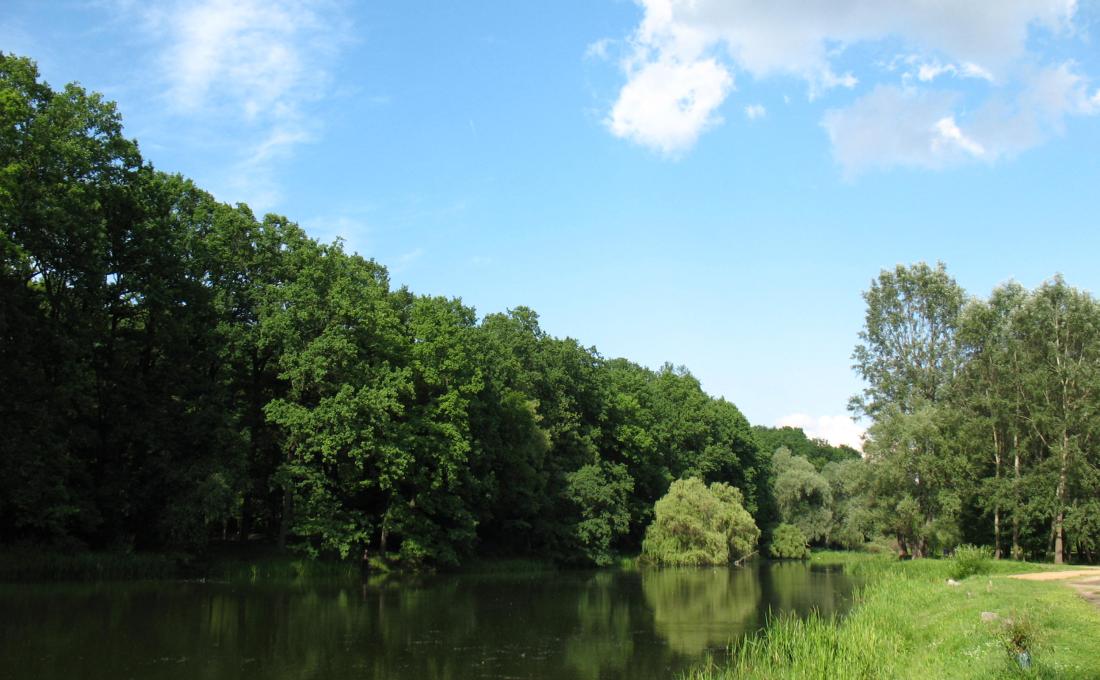 Park Miejski Park Miejski