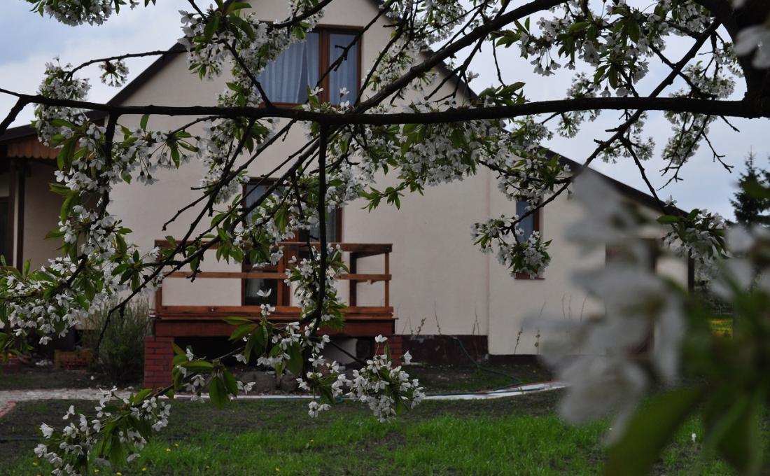 Agroturystyka Lulkowo Danuta Lachiewicz Agroturystyka Lulkowo Danuta Lachiewicz